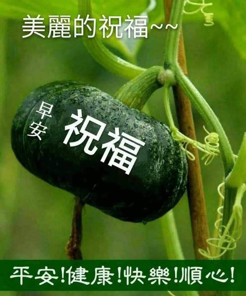 按我可連結至更清楚的圖片