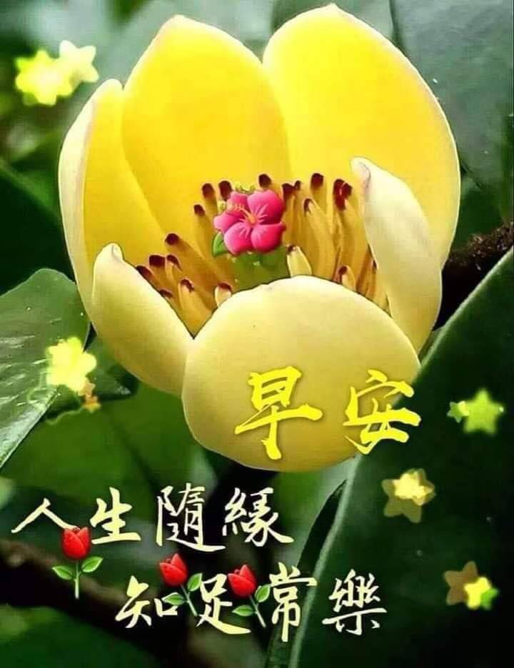 按我可連結至更清楚的圖片