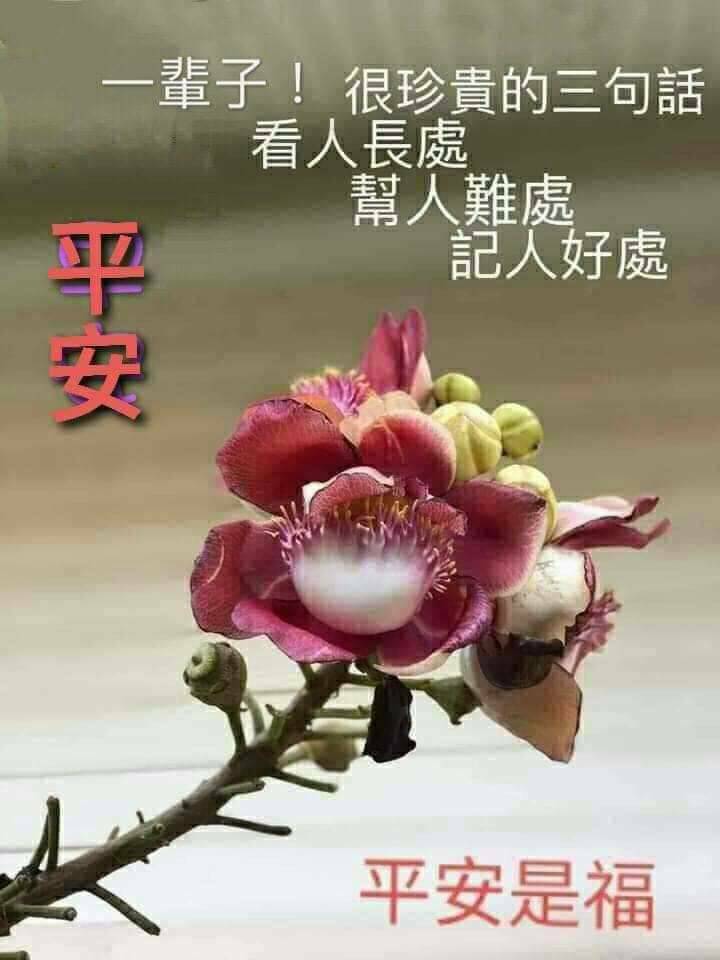 按我可連結至更清楚的圖片