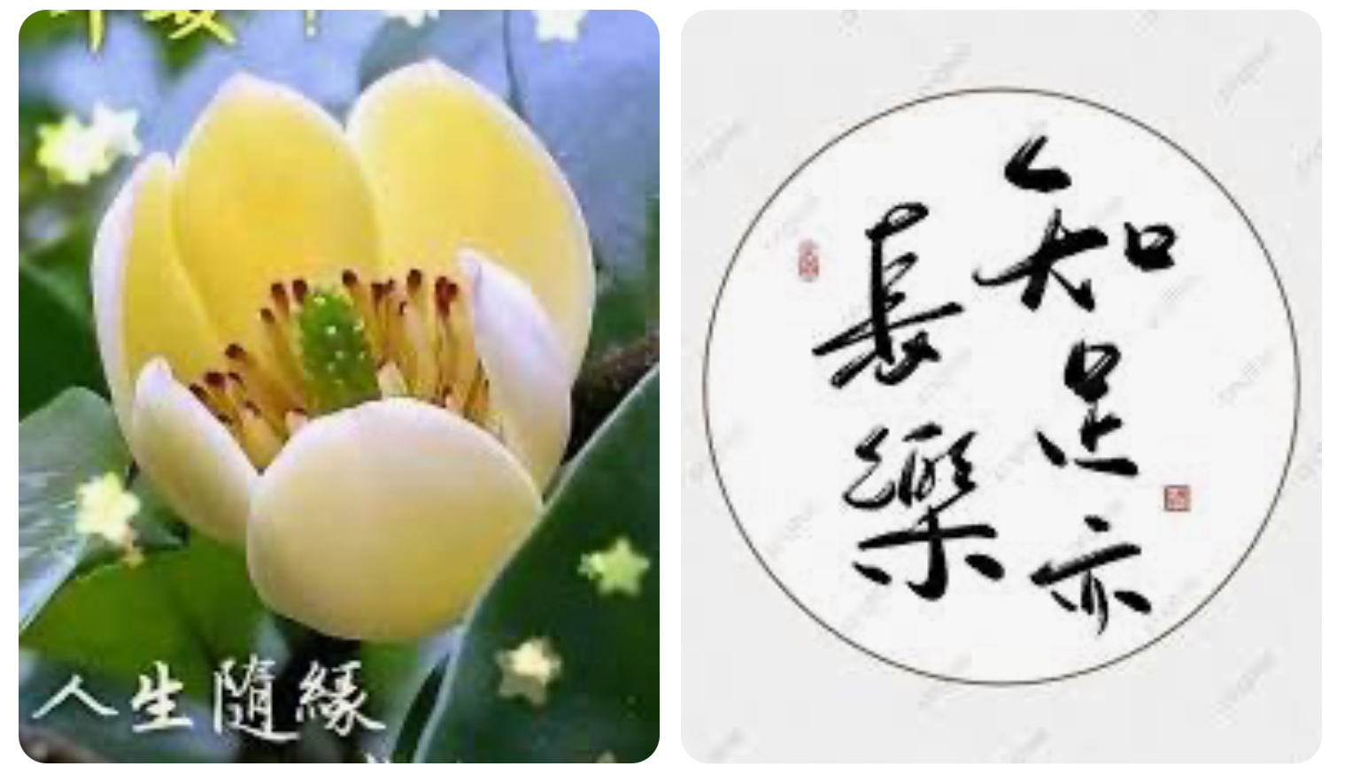 按我可連結至更清楚的圖片