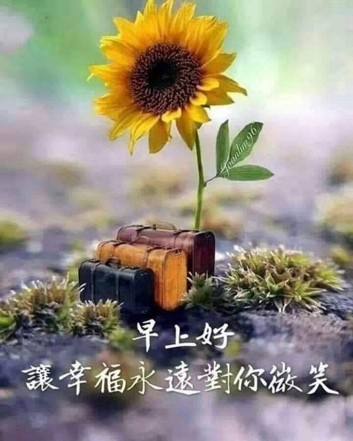 按我可連結至更清楚的圖片