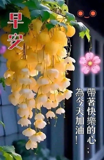 按我可連結至更清楚的圖片