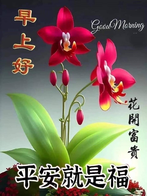 按我可連結至更清楚的圖片