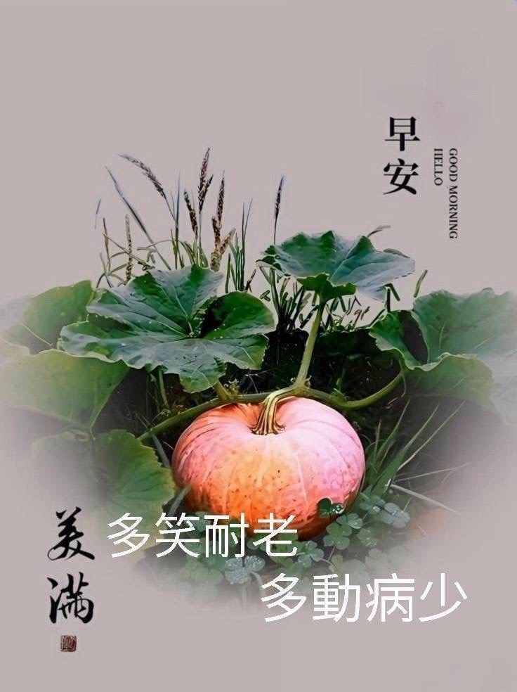 按我可連結至更清楚的圖片