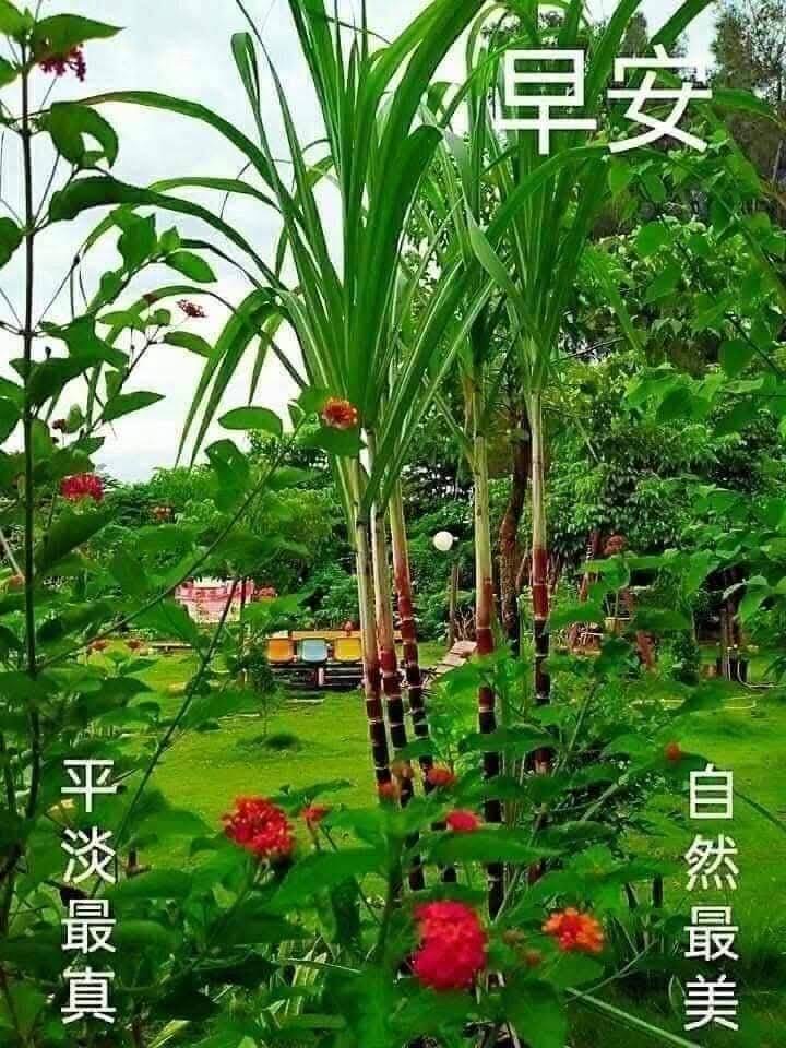 按我可連結至更清楚的圖片