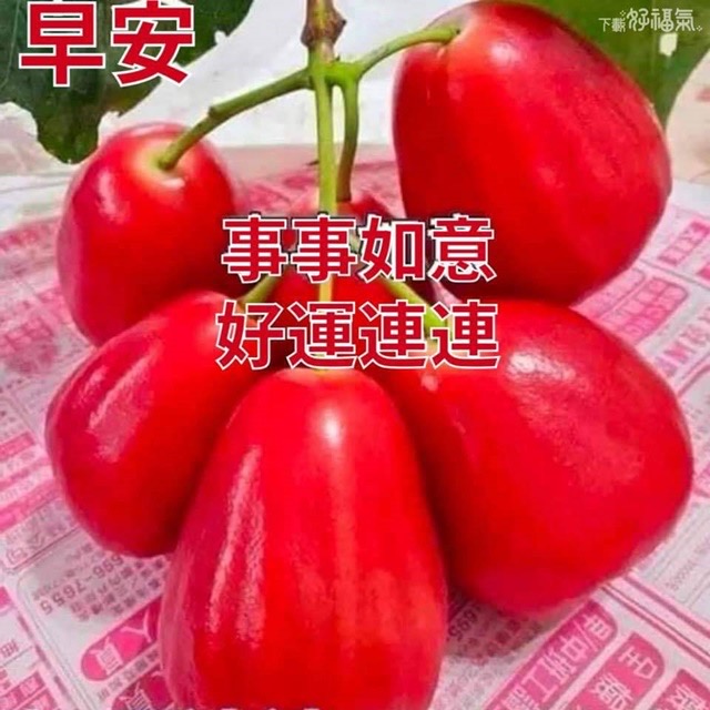 按我可連結至更清楚的圖片