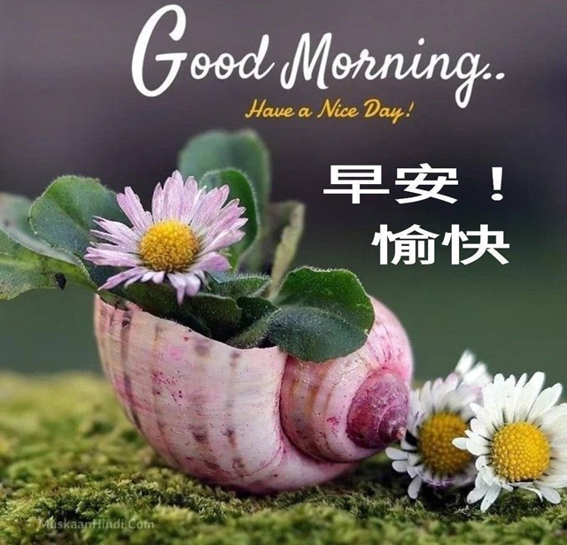 按我可連結至更清楚的圖片