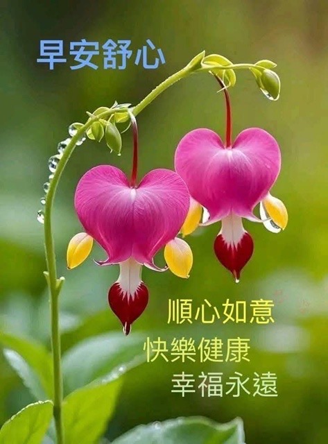 按我可連結至更清楚的圖片