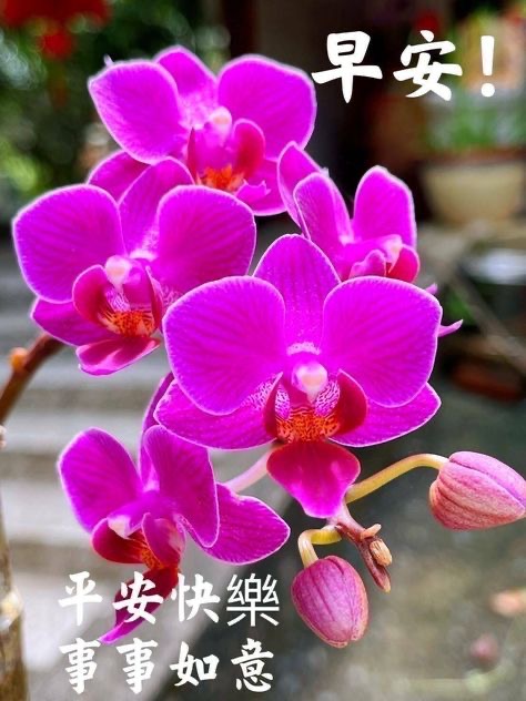 按我可連結至更清楚的圖片