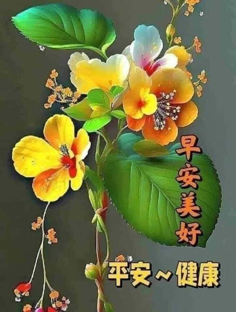 按我可連結至更清楚的圖片