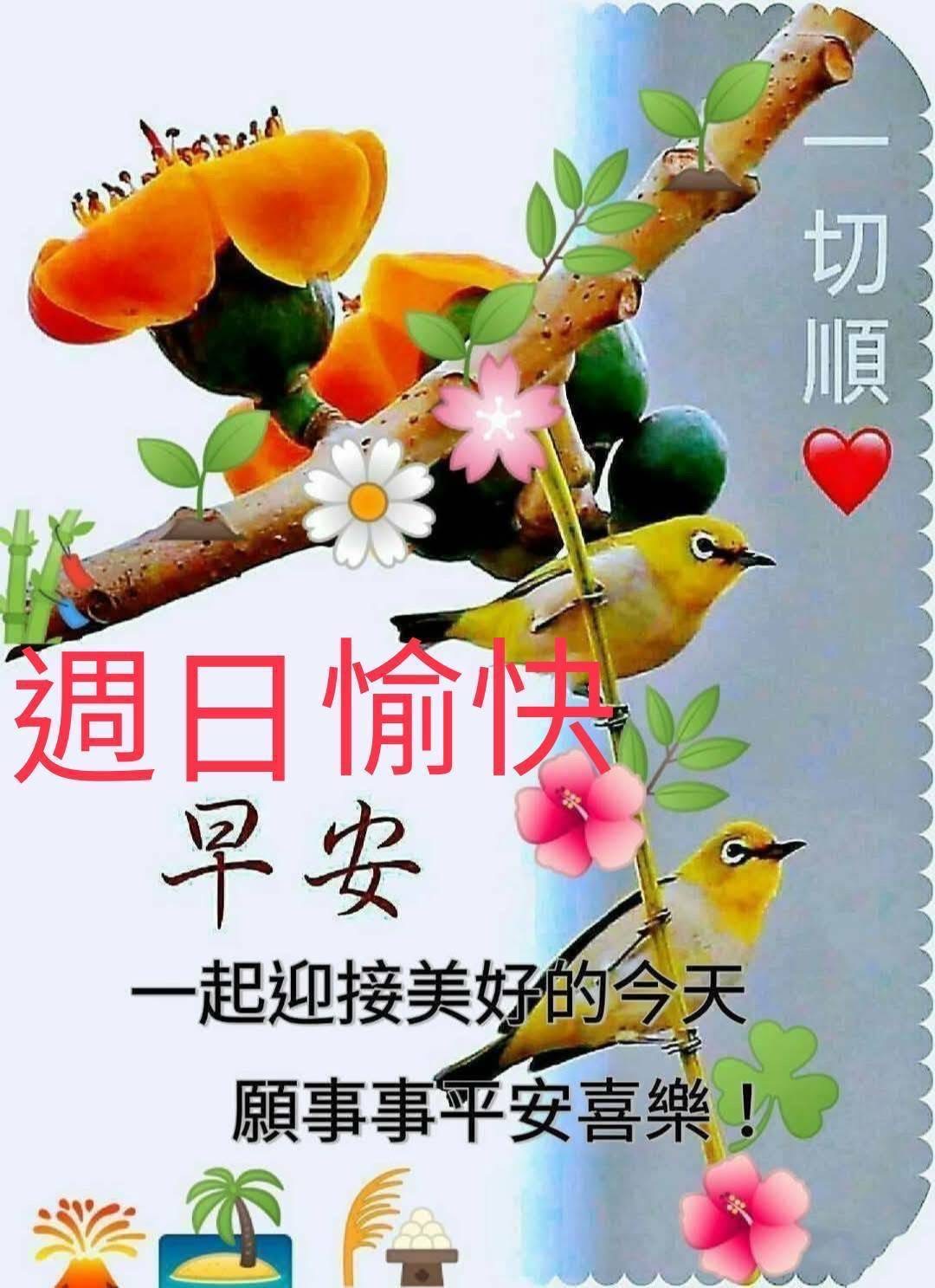 按我可連結至更清楚的圖片