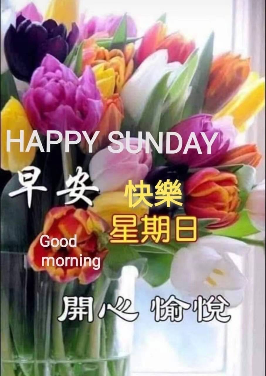 按我可連結至更清楚的圖片