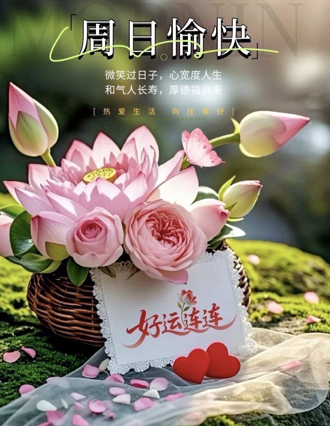 按我可連結至更清楚的圖片