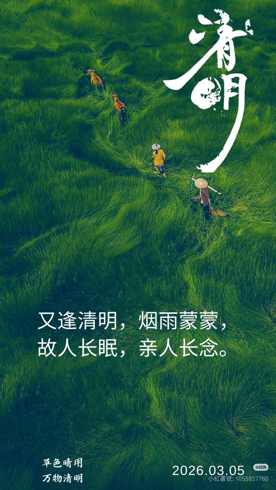 按我可連結至更清楚的圖片