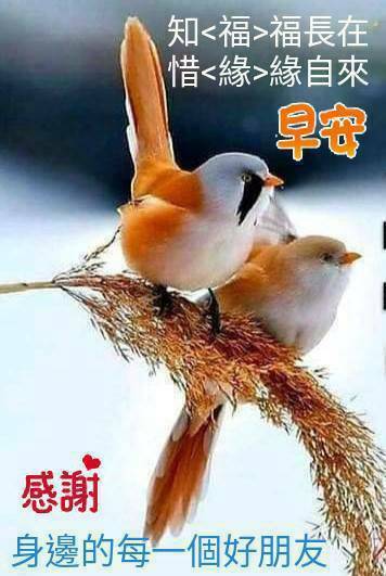 按我可連結至更清楚的圖片