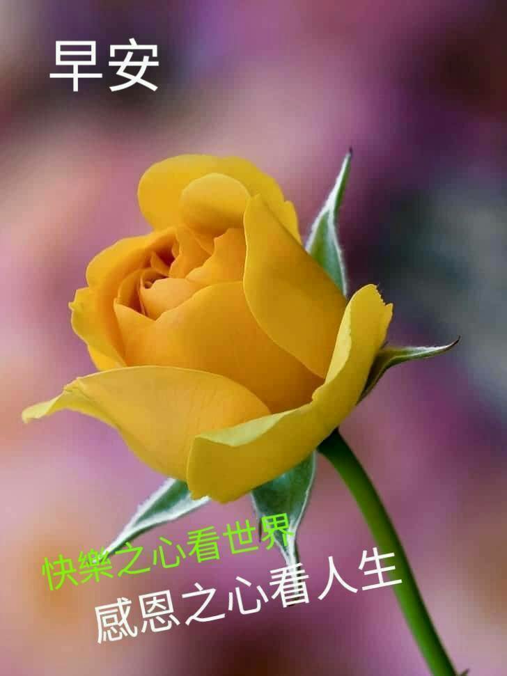 按我可連結至更清楚的圖片