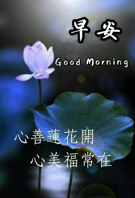 按我可連結至更清楚的圖片