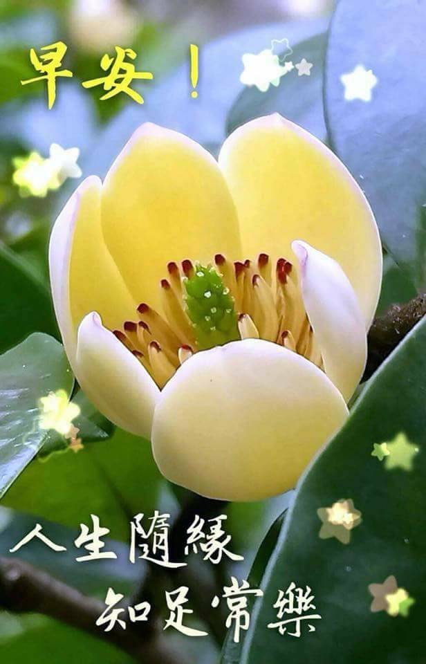 按我可連結至更清楚的圖片